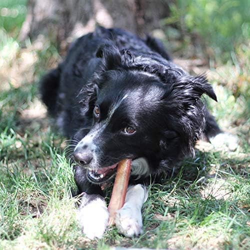 100% Natural Brazilian Bully Sticks - 1 lb Bag  10.00% Off Auto renew
